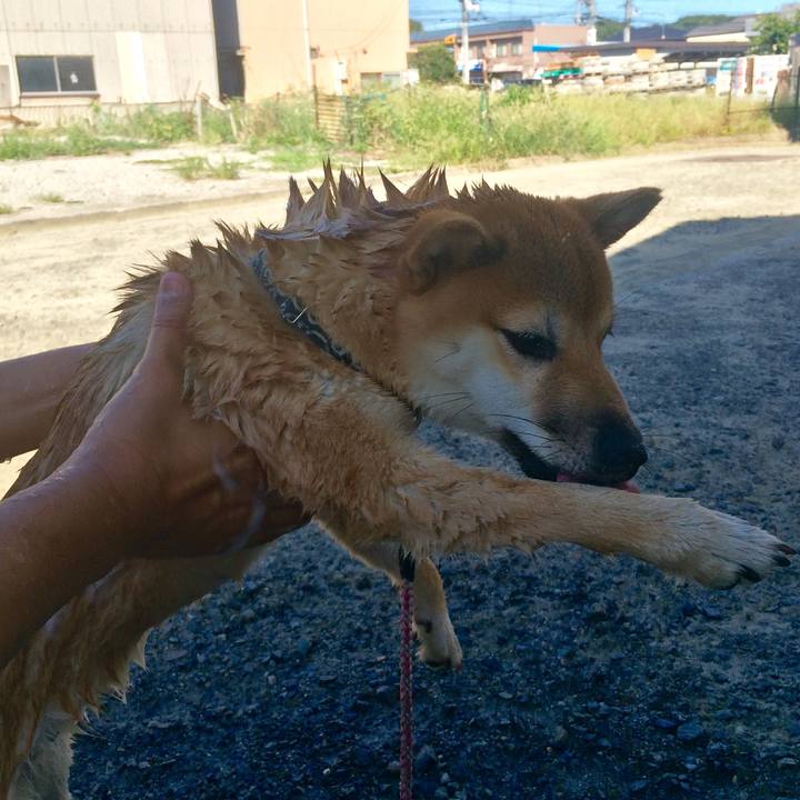 E02aa441 9810 47cc 9277 355e21a39f12