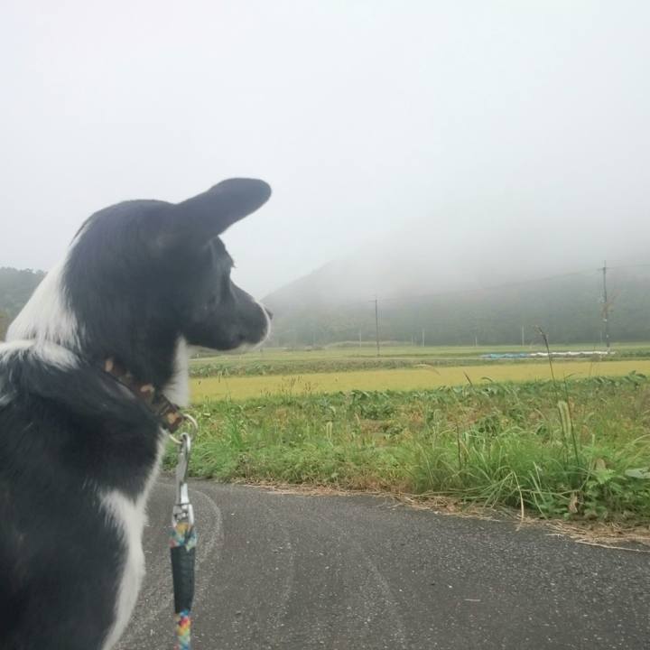 E02ae39c 5d02 458f b51d 3d6807207ee2