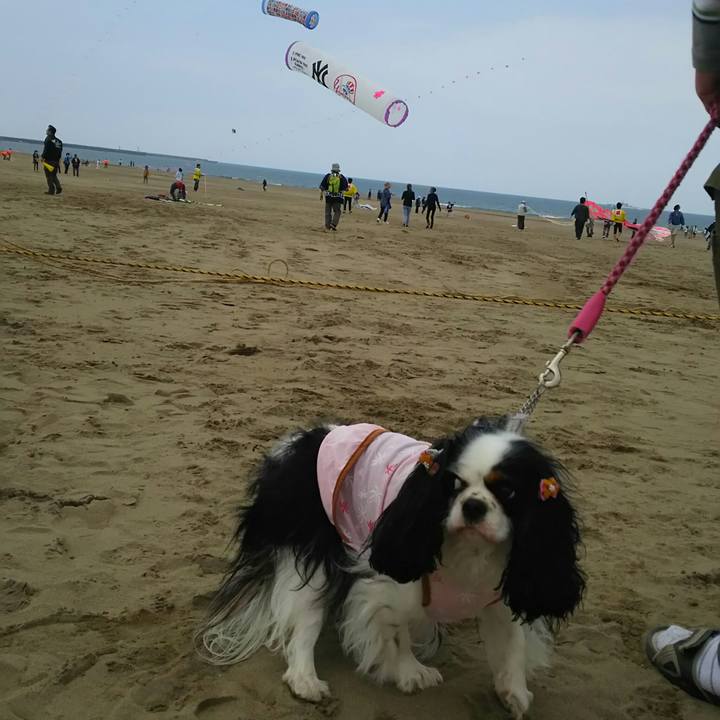 E02b3aaa e617 497e 901b 4c9ecd06c9d4