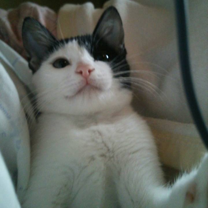 E02bd9d4 ebfe 4614 862f a3caddde3ad4