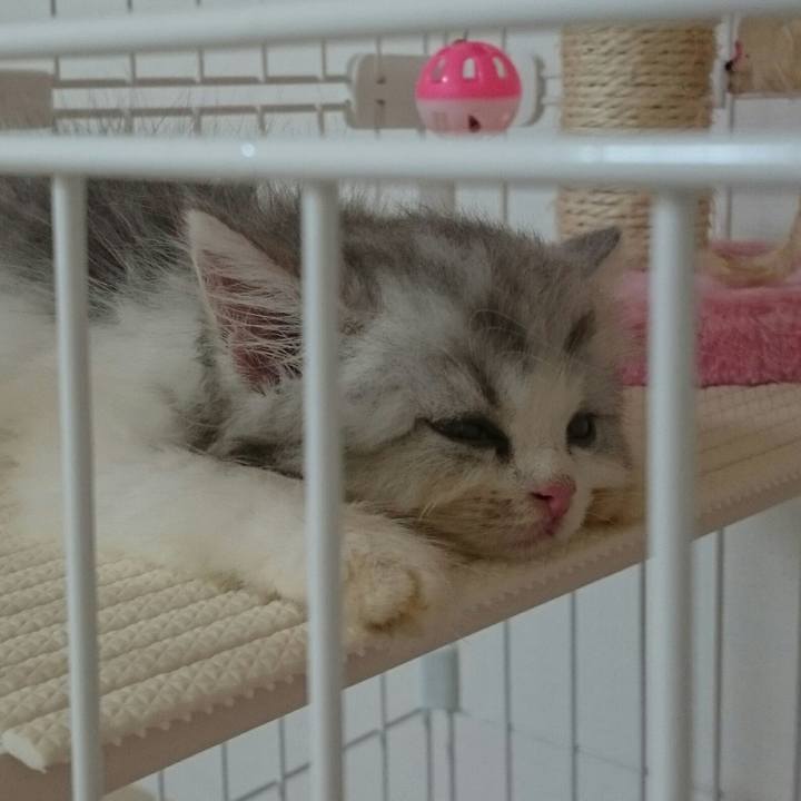 E02c65ae d2af 487c 9ea3 33db0c58a699