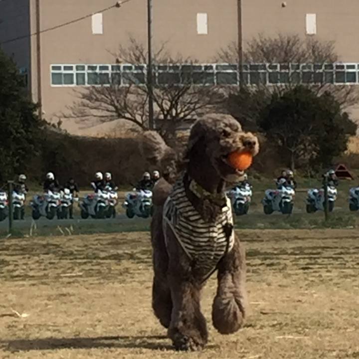 E02d0310 e489 475f a966 be50e96d0b56