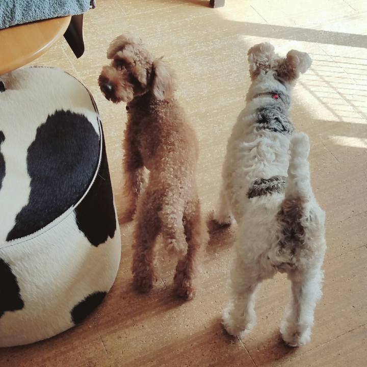 E02d2df1 3380 4885 a2f0 bbd122953a6e