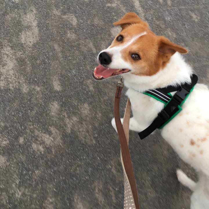 E02dd52b 9e72 42e6 ad49 c64a1db33cd4