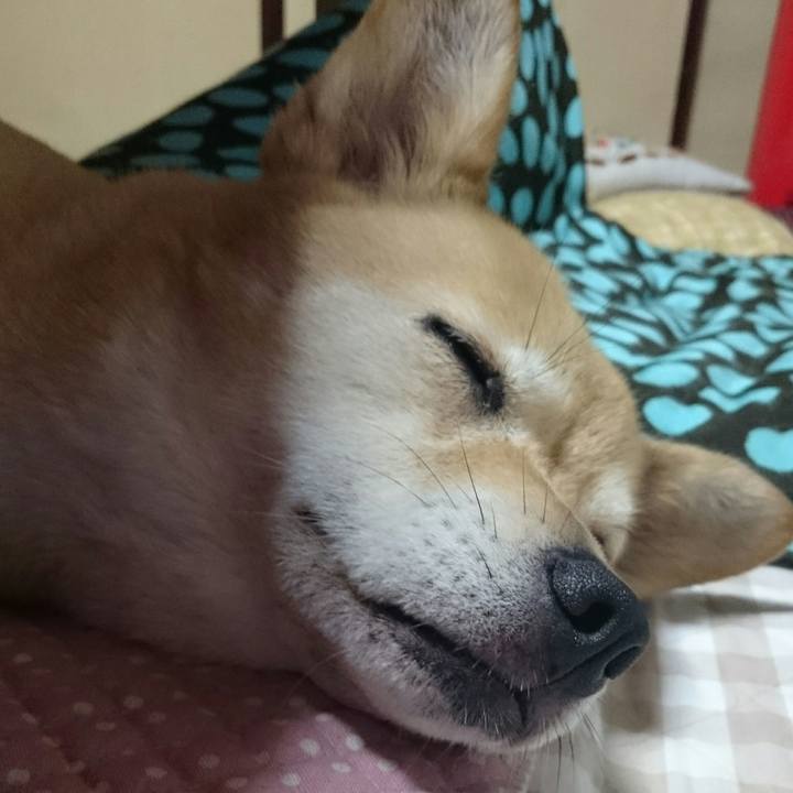 E02dddfc ba88 4a8b b25c b22e8aad49cc