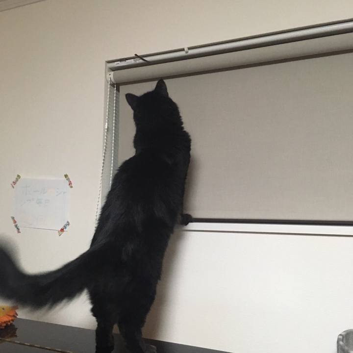 E02e5264 5961 47a1 84c2 5a82a845be73