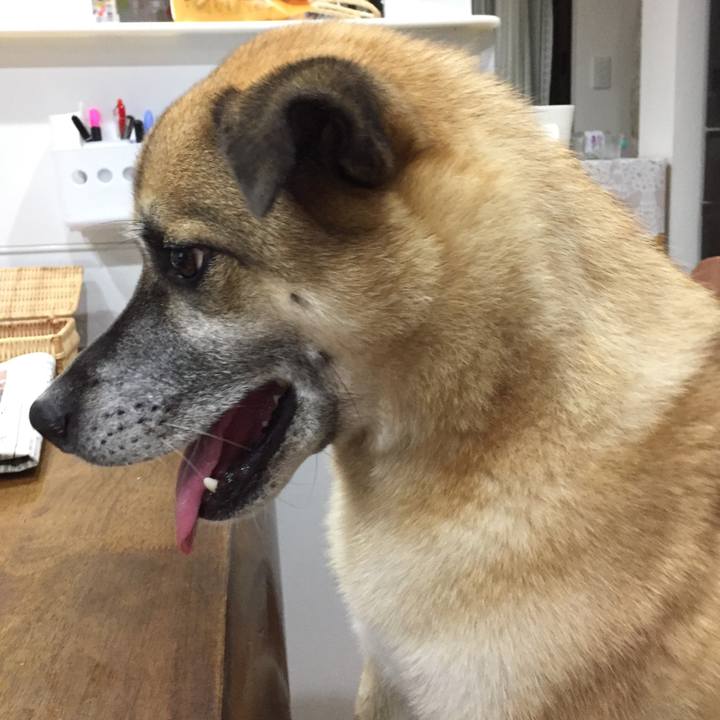 E02f0c96 4e1c 4152 ba99 f6ff9255a721