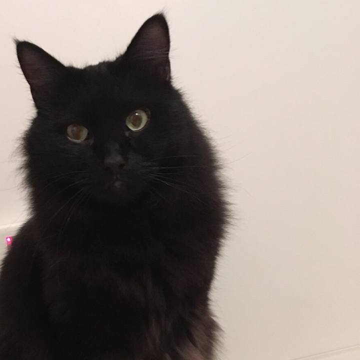 E02f879a 079d 4d96 8388 2d62bc988ff5