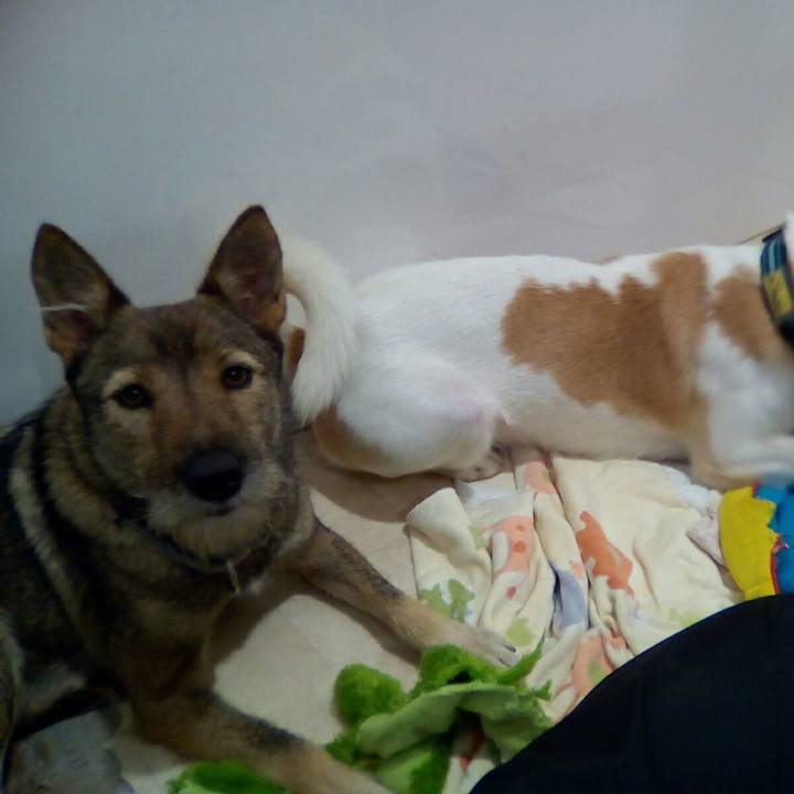 E02fe5cf 5900 4161 9ae1 8852c721accd