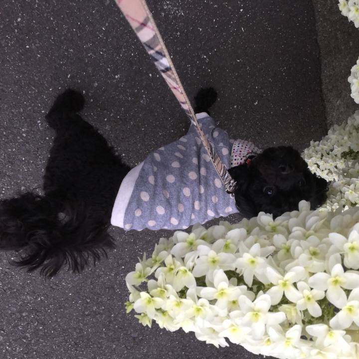 E03002a9 ebfa 456d a297 cd4060dfa856