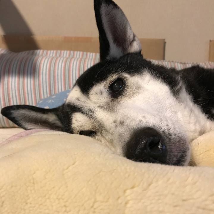 E03066bb b23e 49f1 9837 bdeec9f5ebf6