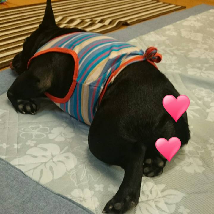 E030e6cf f3b1 44e4 8e59 51966cf744d0