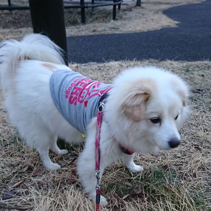 E030e8d8 0c72 4a05 a072 9914f33f985f