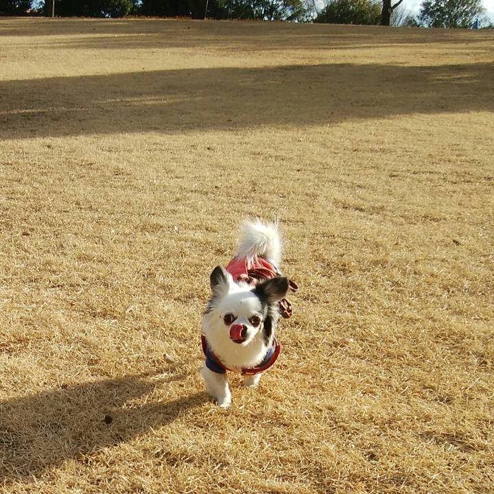 E0314ffa 70c4 41be 9228 bda3af97b401