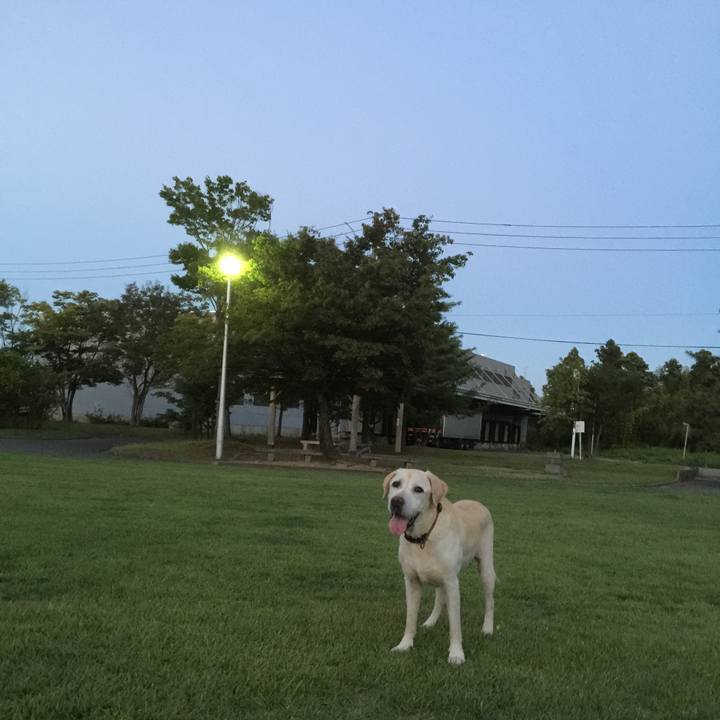 E031ae51 eef0 4101 9c99 6e0adbd91157