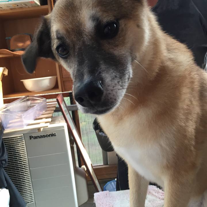 E03264dd c616 4e52 b257 349bd400ed49