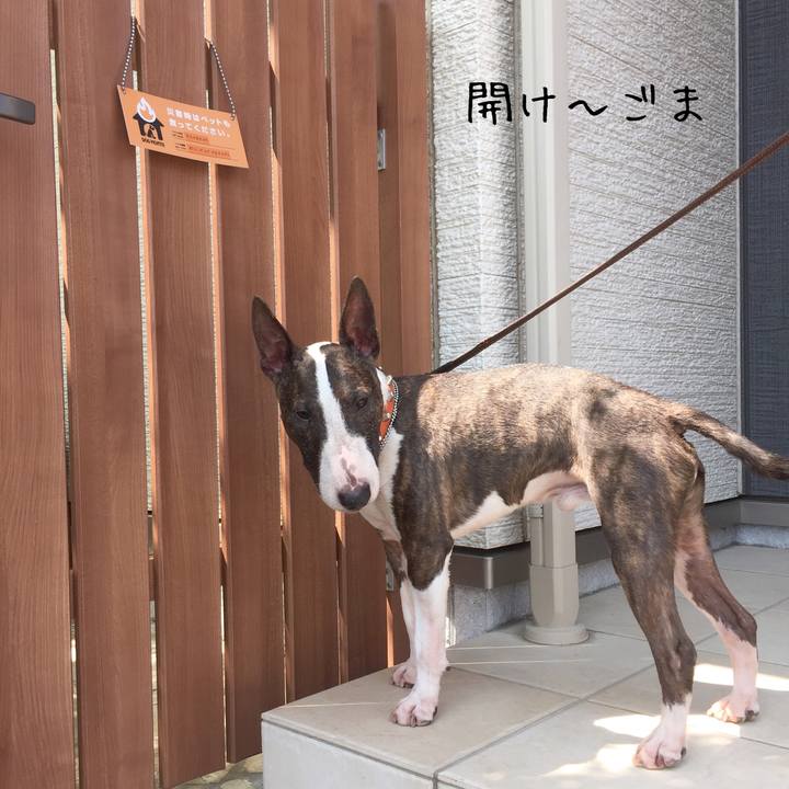 E032a177 0798 4061 a002 4a72ac23fa8d