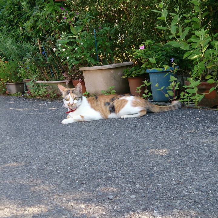 E032b687 5604 4f9c bb37 cdfe4fcfb3a5