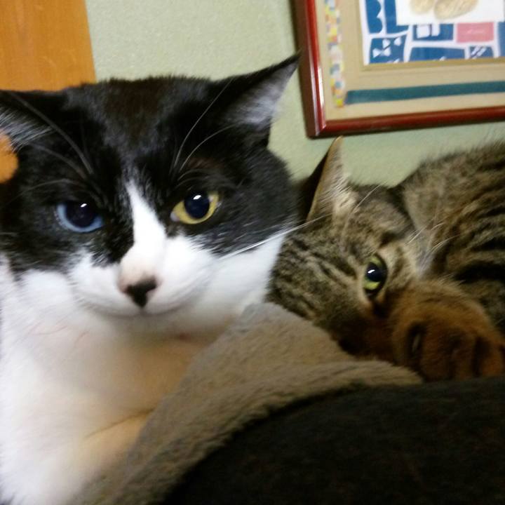 E03376a2 b3c8 4ea4 87b1 2dc162237b3a