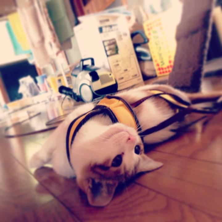 E033c441 ab98 47ec b22f 35dcb021b742