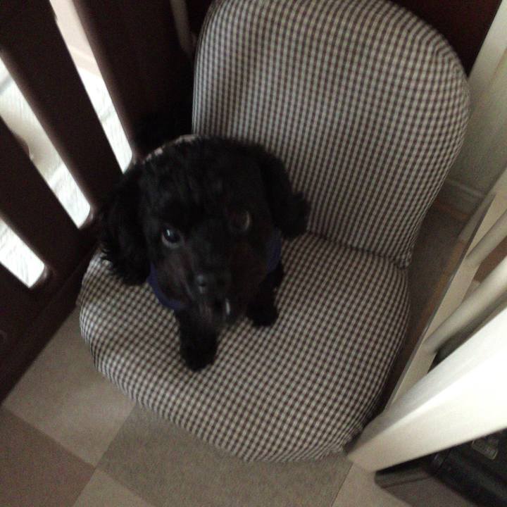 E0351011 28dc 4614 8bbc caf38493a65f