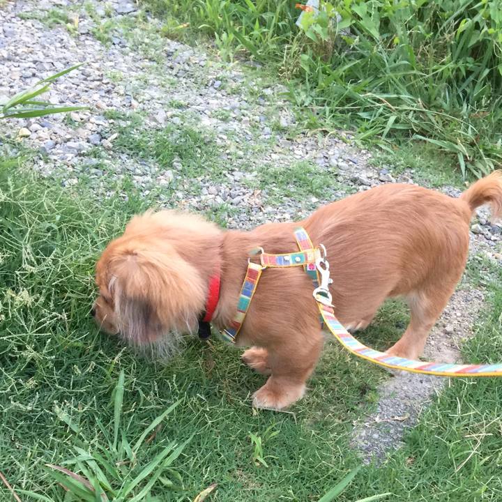 E03575ad bf9c 4f73 9ed7 21224c385325