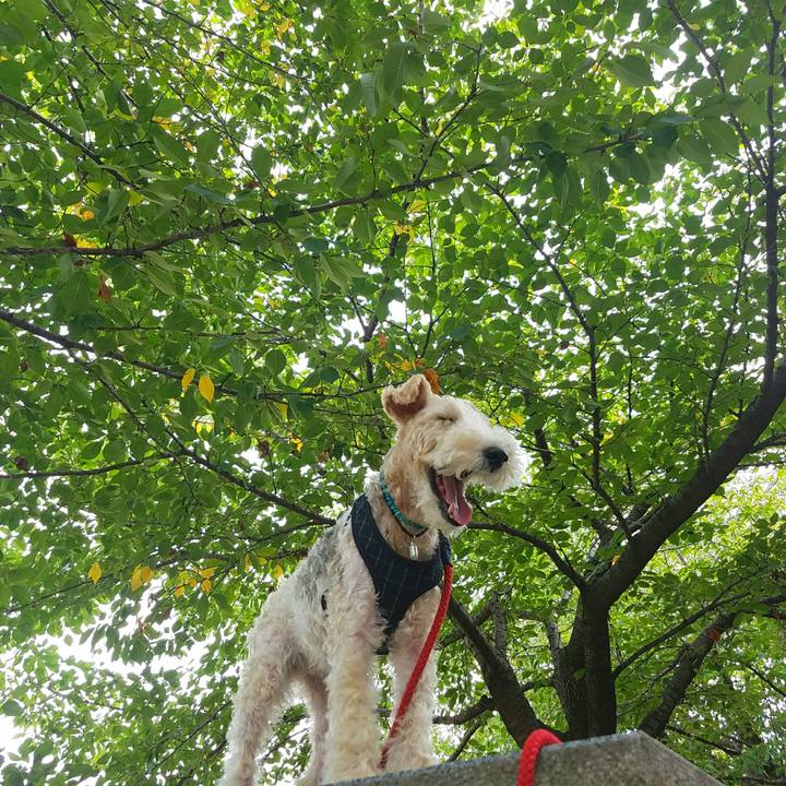 E03647f6 e161 4ddb 8eca 2d7f42144569