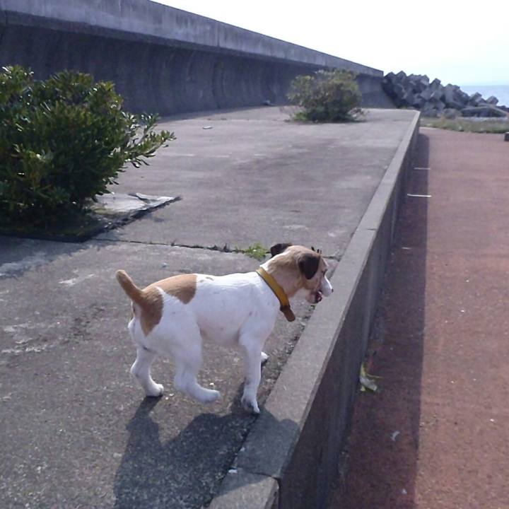 E0368738 5cf9 43ee b429 fe3dc7a7bdd9