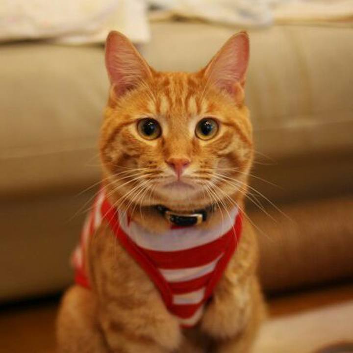 E0369e99 9227 4428 99e6 3fb626dc9029