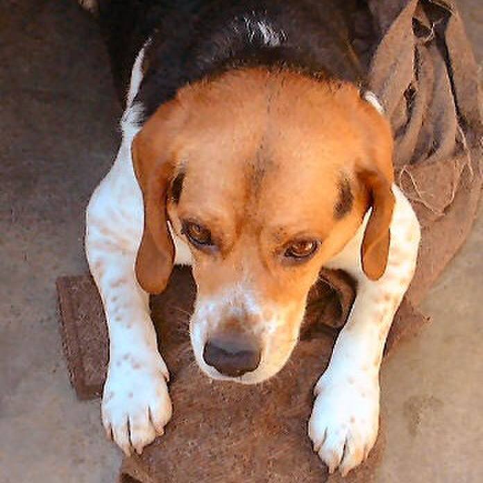 E036bb59 9046 4b7d b9d3 b267d89b3b92