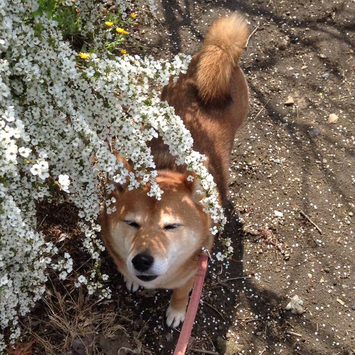 E036d21b b9c5 48fc a163 2139ce63e08d