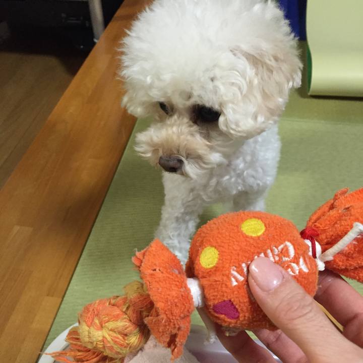 E036e225 144d 4ea8 b3fa 6597631538f5