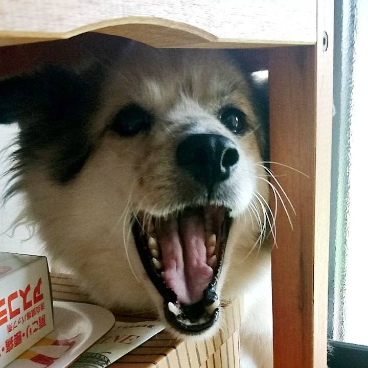 E036fb16 c4ce 42cc 94dc a561efbaa182