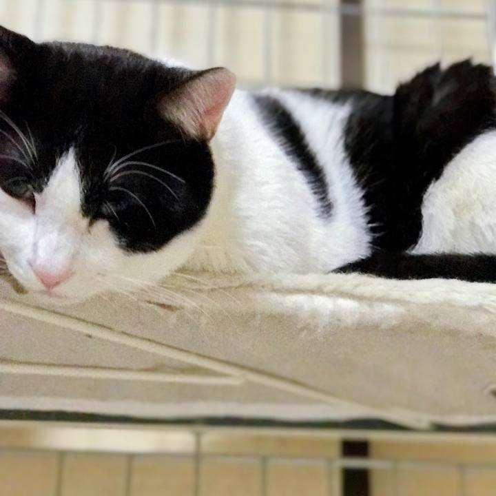 E0380324 5c4c 4396 b867 7f42c8167c79