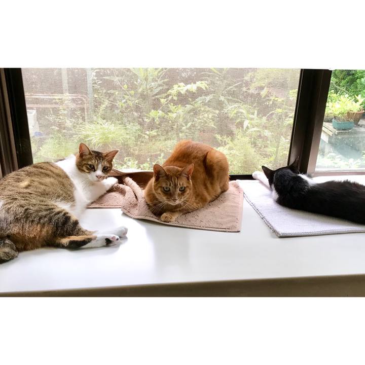 E0381908 1ced 46eb 9441 78c9cf4fcf78