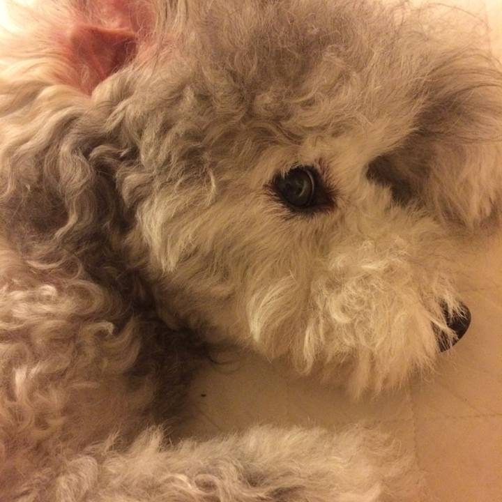 E0381a26 2974 4feb aa18 78288b2170a0