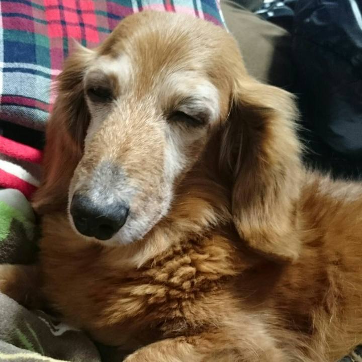 E0385d12 eb6c 40f9 9821 e2312a11f6cb