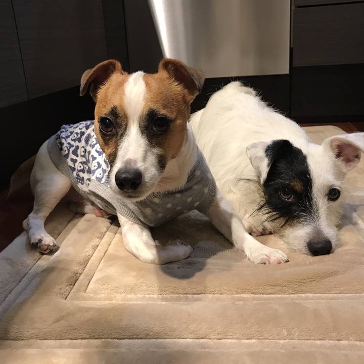 E0387198 5ce0 4c17 9f56 98e5605a4467