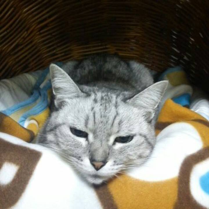 E038fc05 dd2c 4602 a572 fc64d0ddcb33