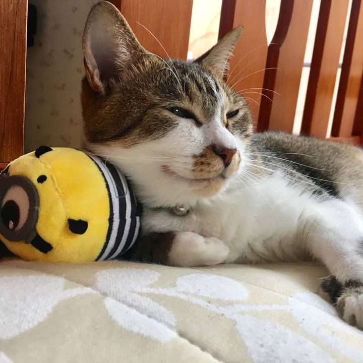 E03935e3 161e 4f90 86a7 a53d78e8db42