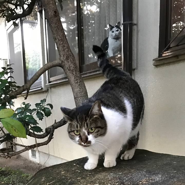 E03a2f04 2c91 4252 aaa3 adc385ea6b40