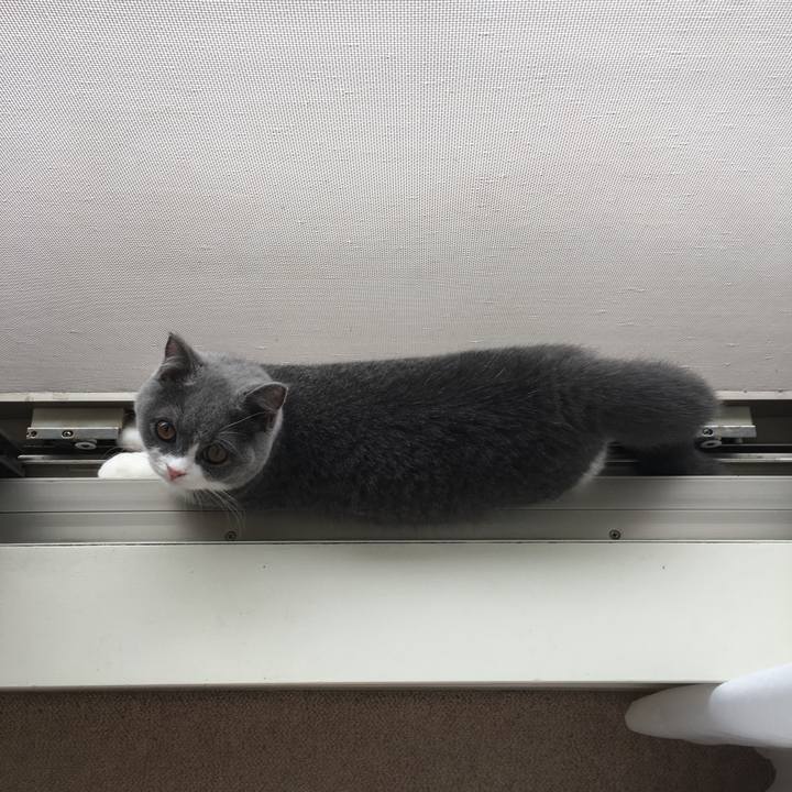 E03a4544 e43f 4f49 bf71 a4d348a08a01