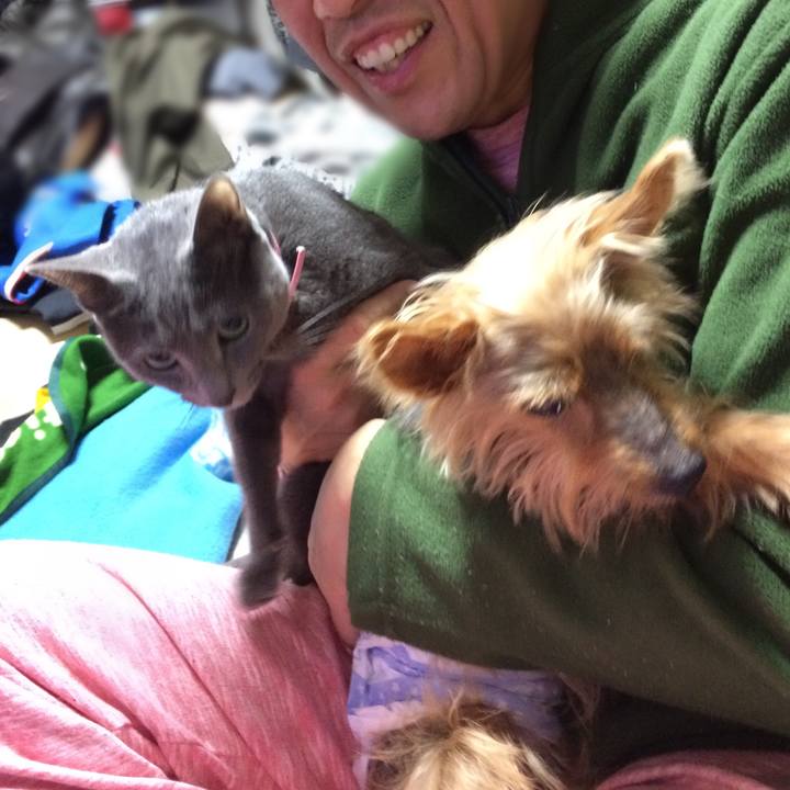 E03a667f d8ad 4a7b acc7 b7d9b8c51f76