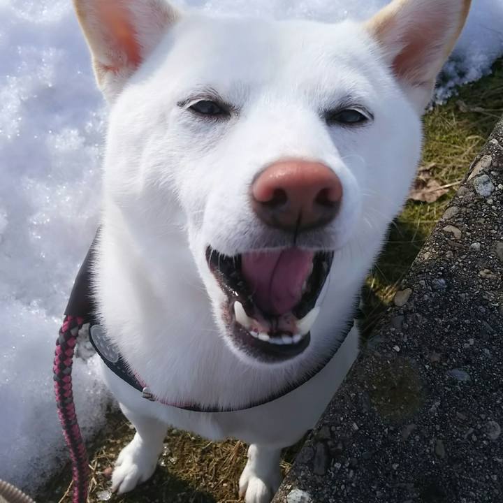 E03abb5b 7a11 40d3 9ac8 9dbd6c32cb19