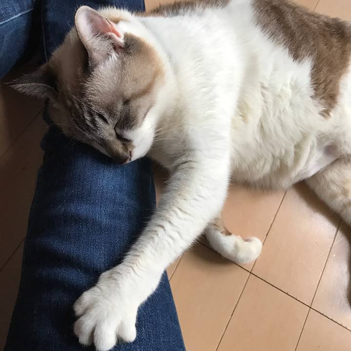 E03ac7d0 e5eb 4688 9b68 ada408df4770