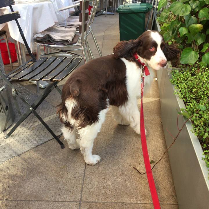 E03b4d3e 26c7 4f5d be52 10f38791d170