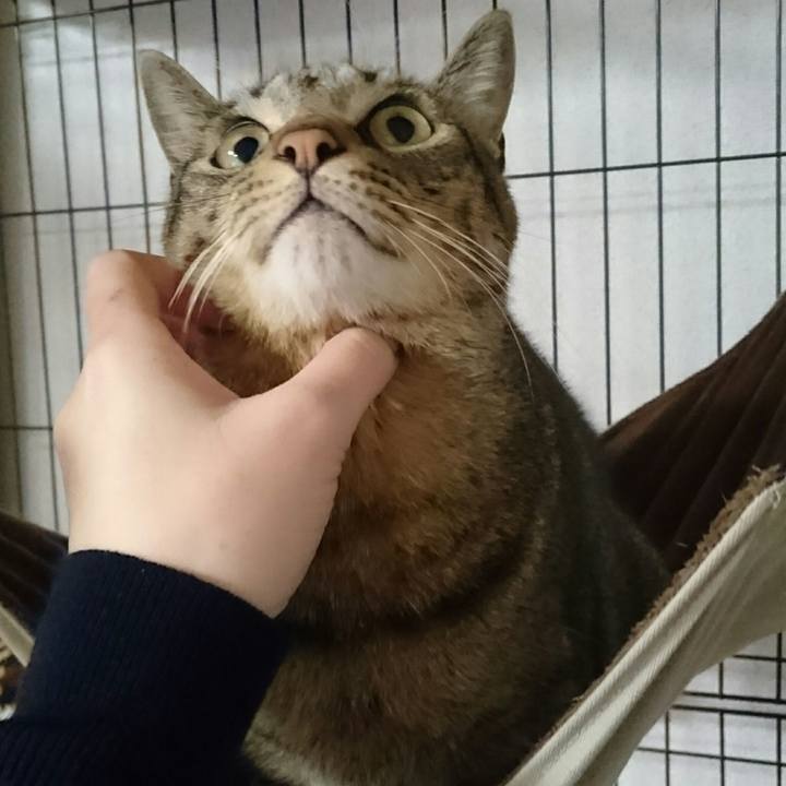 E03b667d f56b 4de2 887e 929045ec1172