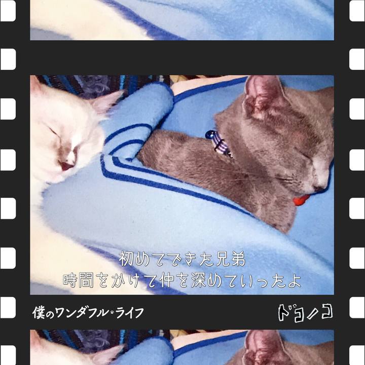 E03b6d58 cc8d 4b21 b413 1aedd8fce4a2