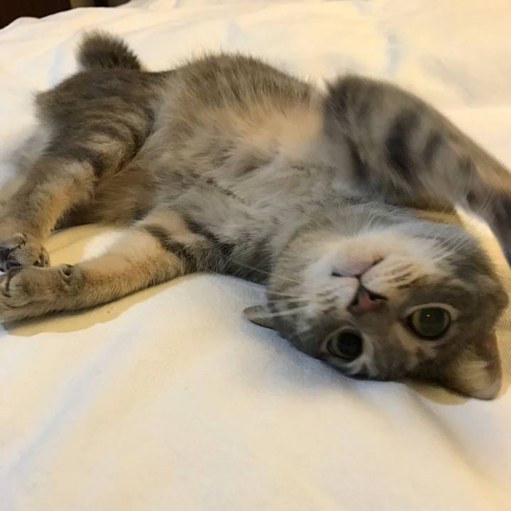 E03b7d78 dce2 4fd2 b4d5 c6e9908d1ac3