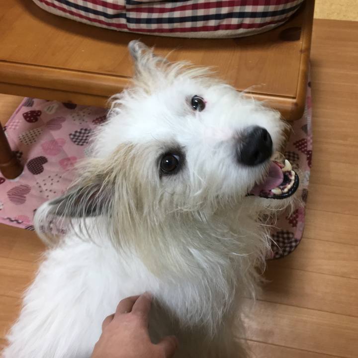 E03b8688 1a5e 475b 8e9b 7b722a58b359